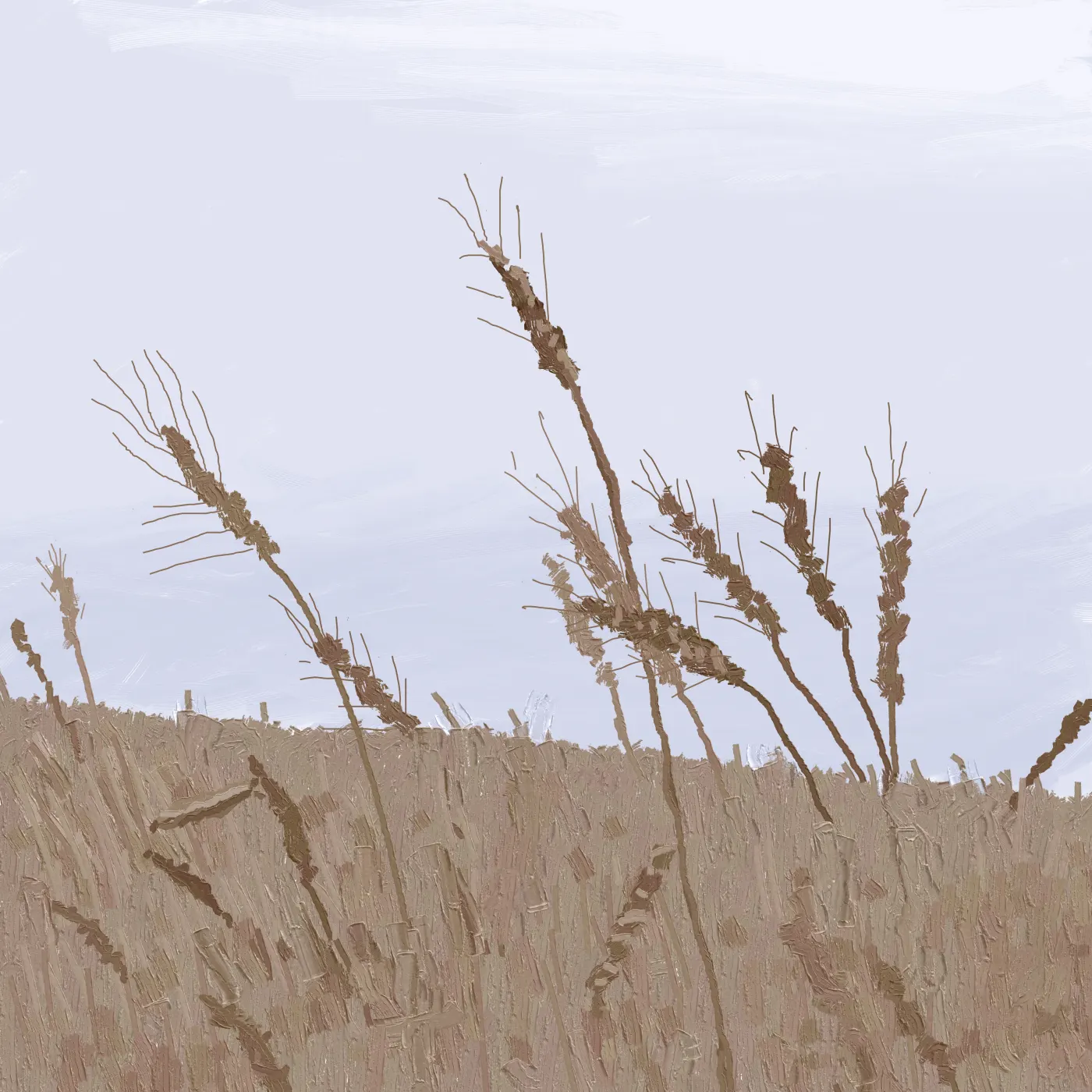 Kansas Wheat by brianbigelow