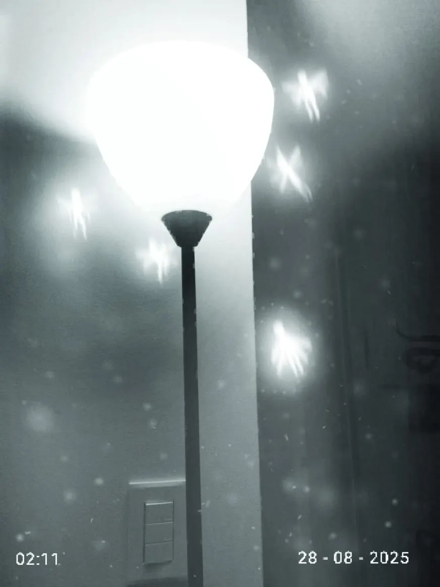 Night visitors by Lebrav