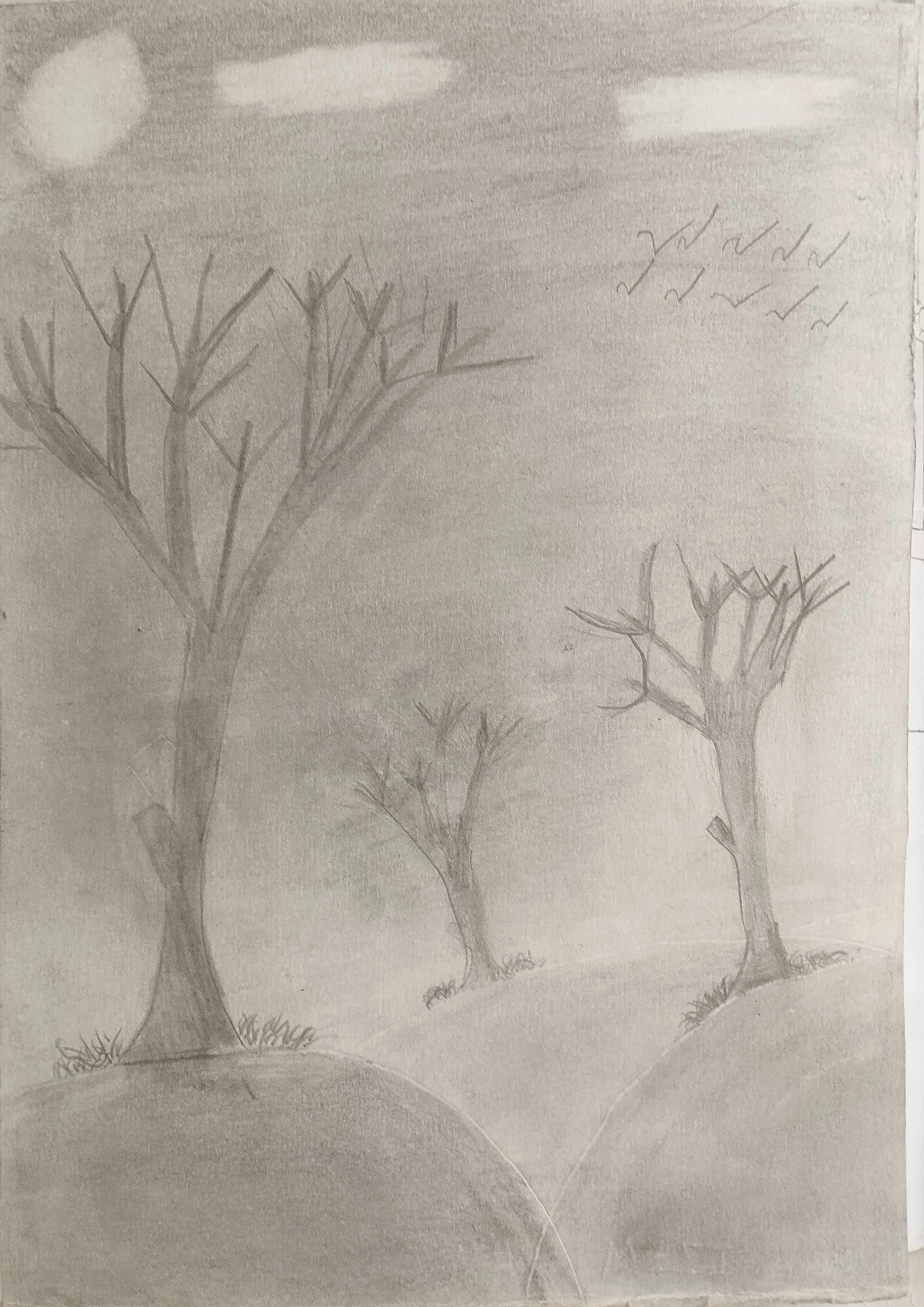 Night Forest by aplash43