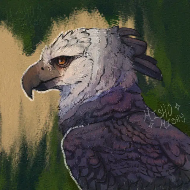 Harpy eagle bust + process