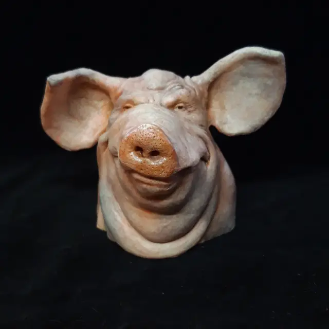 disgruntled pig