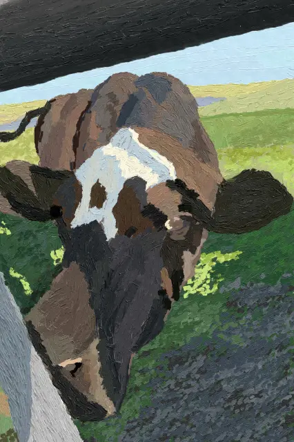 Curious Cow
