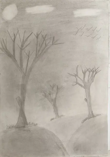 Night Forest