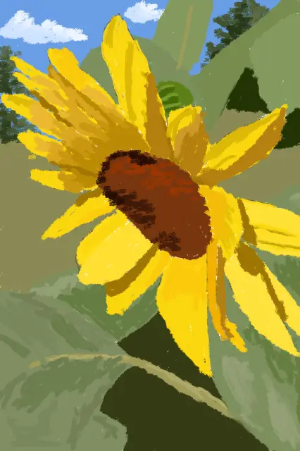 Brown Eyed Susan