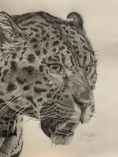 Jaguar Realism Drawing