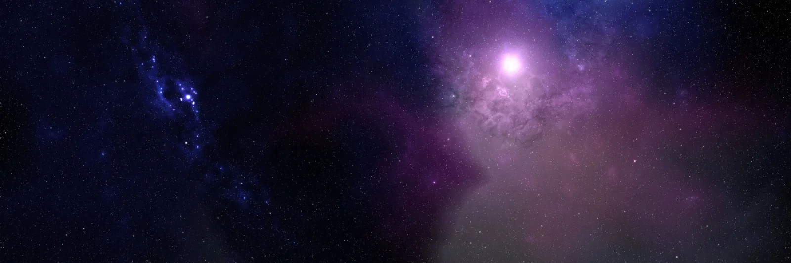 Profile Banner