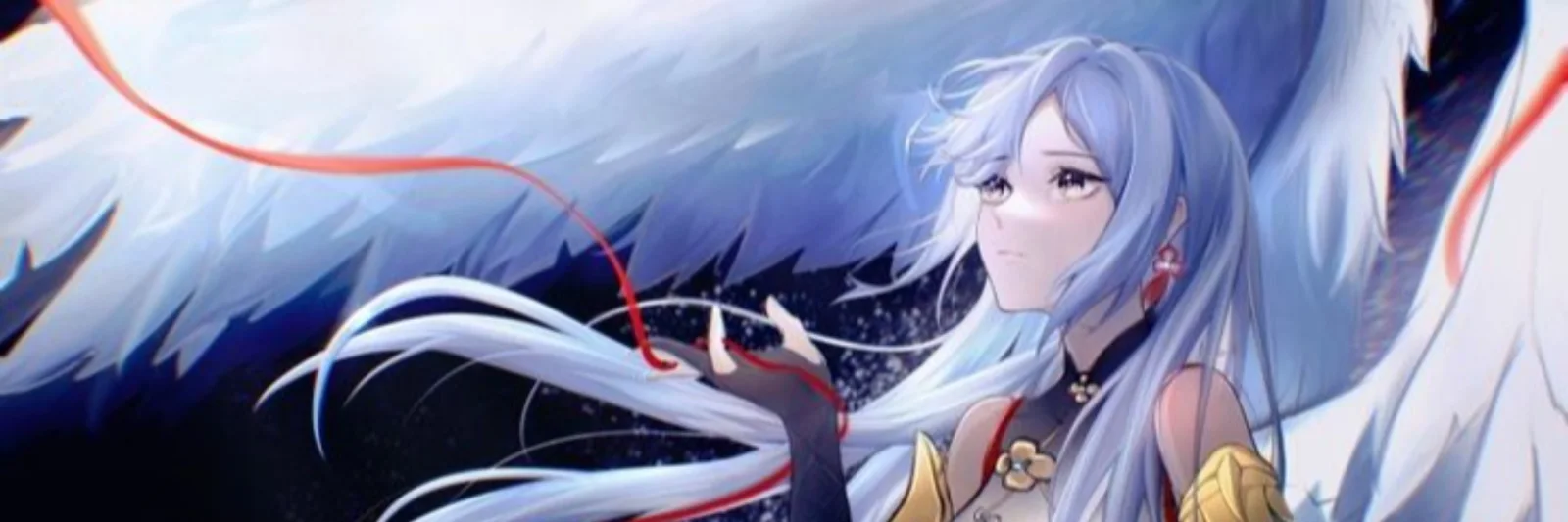Profile Banner