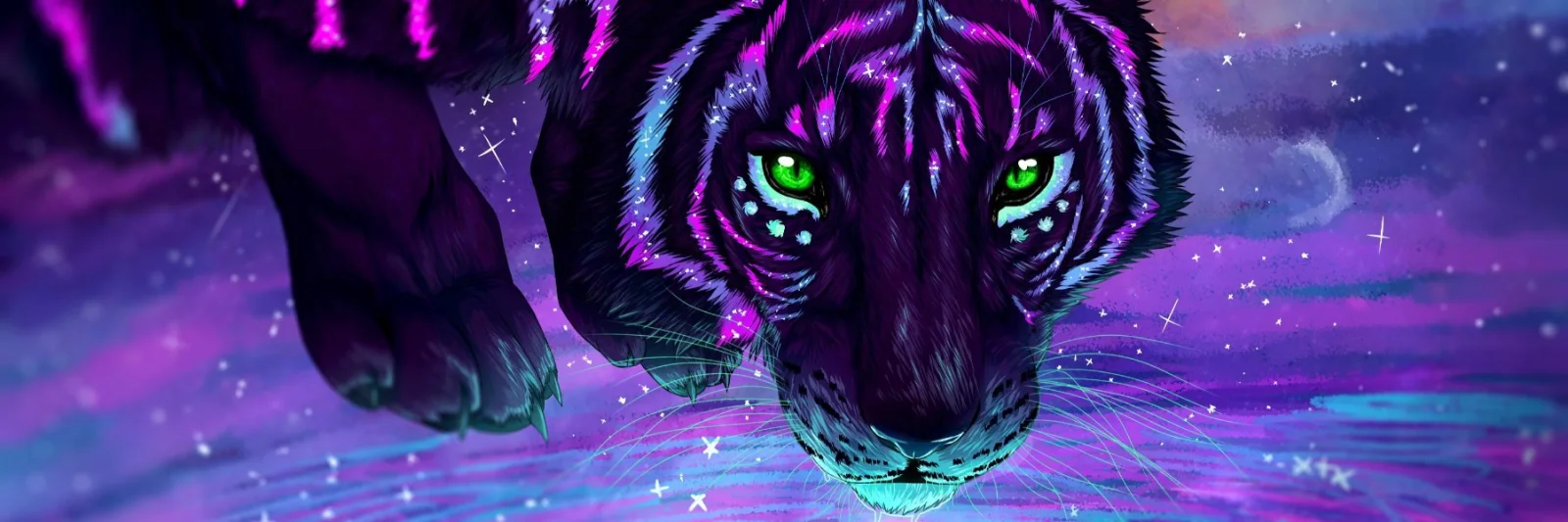 Profile Banner