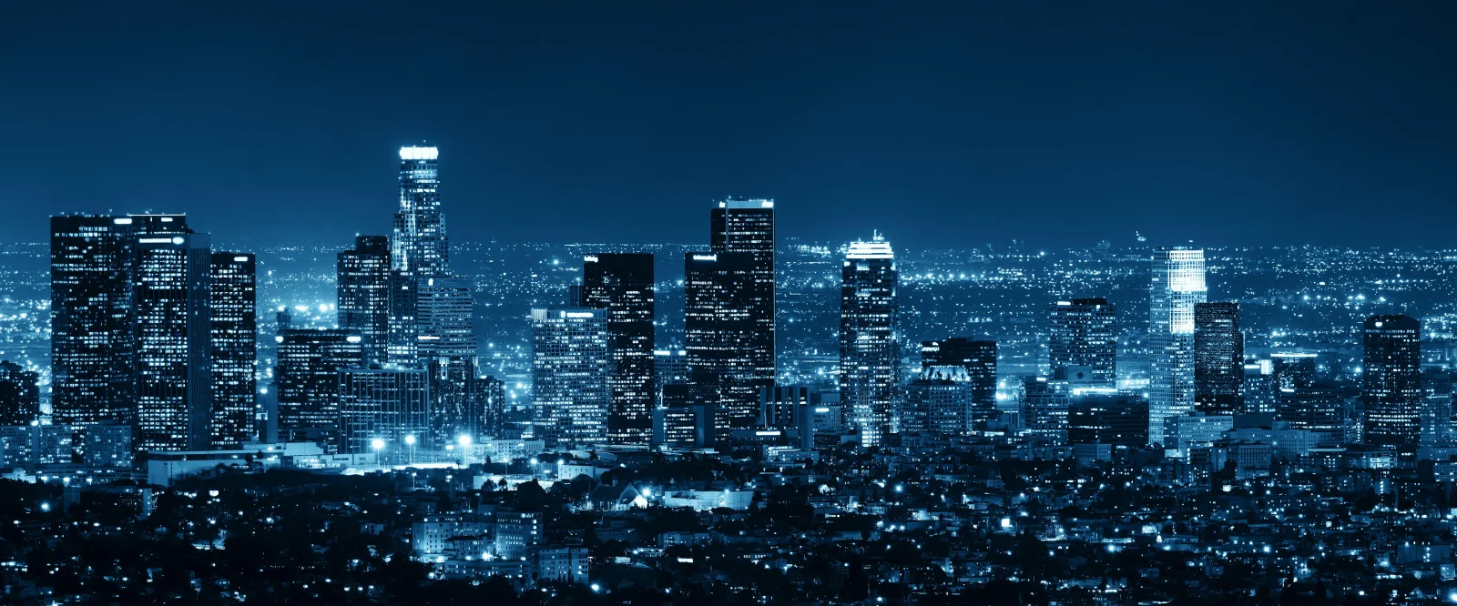 Profile Banner